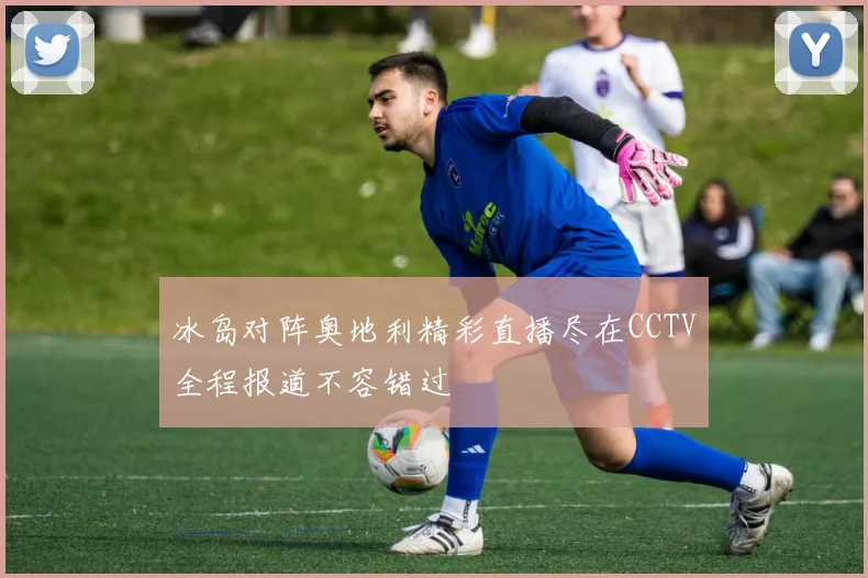 冰岛对阵奥地利精彩直播尽在CCTV全程报道不容错过