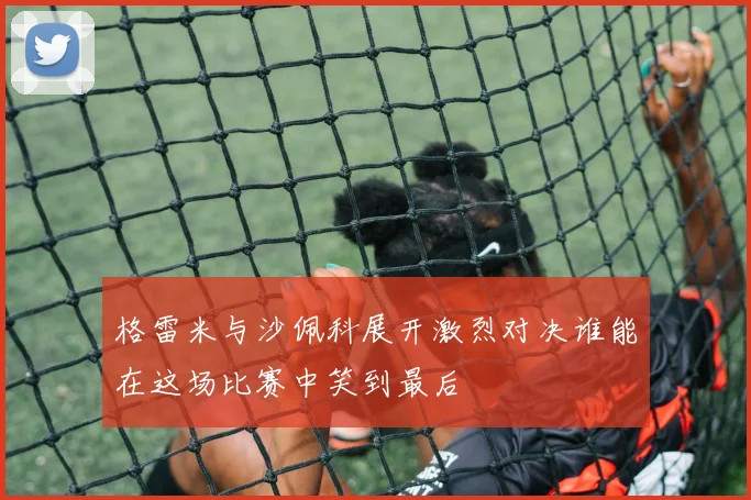 格雷米与沙佩科展开激烈对决谁能在这场比赛中笑到最后