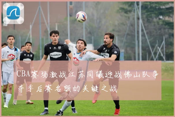 CBA赛场激战江苏同曦迎战佛山队争夺季后赛名额的关键之战