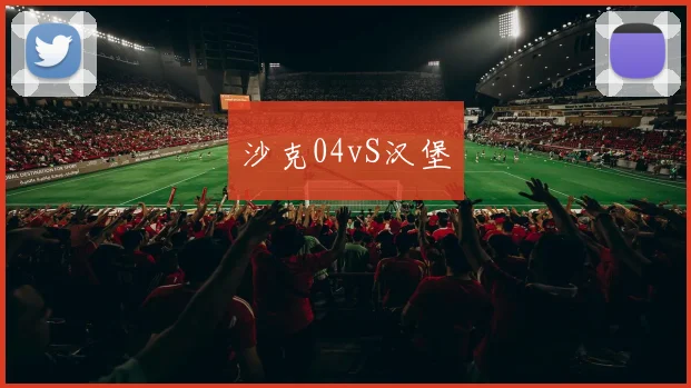 沙克04vS汉堡