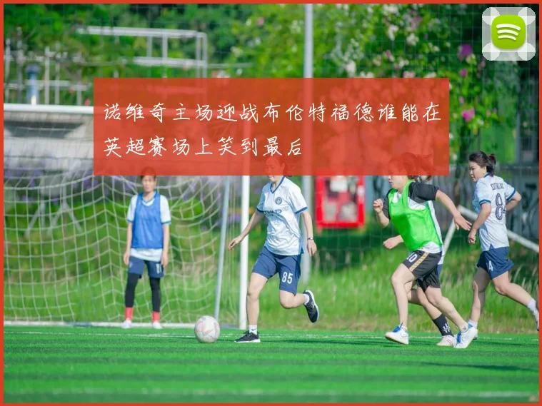 诺维奇主场迎战布伦特福德谁能在英超赛场上笑到最后